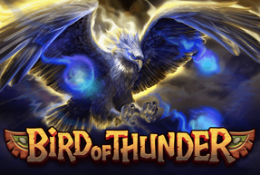 Игровой автомат Bird of Thunder