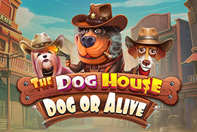 Игровой автомат The Dog House – Dog or Alive