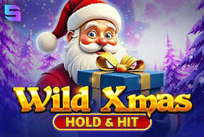 Игровой автомат Wild Xmas - Hold & Hit
