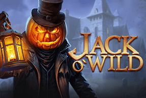 Игровой автомат Jack O'Wild