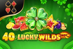 Игровой автомат 40 Lucky Wilds Hot