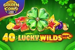 Игровой автомат 40 Lucky Wilds Hot Golden Coins Link